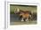 Miniature Horse 002-Bob Langrish-Framed Photographic Print