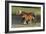 Miniature Horse 002-Bob Langrish-Framed Photographic Print