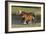 Miniature Horse 002-Bob Langrish-Framed Photographic Print