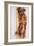 Miniature Long-Haired Dachshund-null-Framed Photographic Print