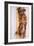 Miniature Long-Haired Dachshund-null-Framed Photographic Print