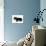 Miniature Long-Haired Dachshund-null-Photographic Print displayed on a wall