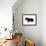 Miniature Long-Haired Dachshund-null-Framed Photographic Print displayed on a wall