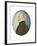 Miniature of “Colonel Gustafsson” former Gustav IV Adolf King of Sweden, c.1830-Unknown Artist-Framed Giclee Print