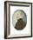 Miniature of “Colonel Gustafsson” former Gustav IV Adolf King of Sweden, c.1830-Unknown Artist-Framed Giclee Print