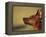 Miniature Pinscher Looking Up-Adriano Bacchella-Framed Premier Image Canvas