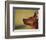 Miniature Pinscher Looking Up-Adriano Bacchella-Framed Premium Photographic Print