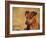 Miniature Pinscher Portrait-Adriano Bacchella-Framed Photographic Print