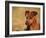 Miniature Pinscher Portrait-Adriano Bacchella-Framed Photographic Print