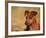 Miniature Pinscher Portrait-Adriano Bacchella-Framed Photographic Print