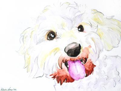 miniature poodle drawing