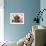 Miniature Poodle-null-Framed Photographic Print displayed on a wall