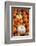 Miniature pumpkins-Lisa Engelbrecht-Framed Photographic Print