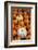 Miniature pumpkins-Lisa Engelbrecht-Framed Photographic Print