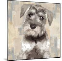 Miniature Schnauser-Keri Rodgers-Mounted Giclee Print