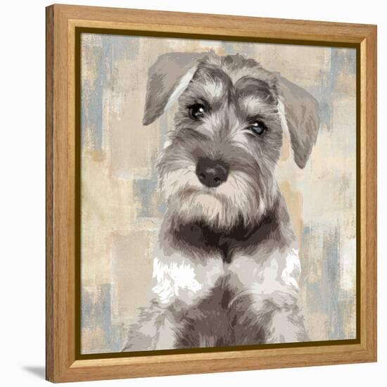 Miniature Schnauser-Keri Rodgers-Framed Stretched Canvas