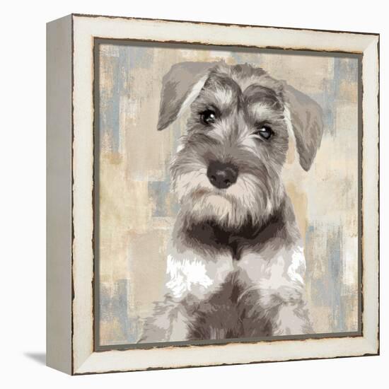 Miniature Schnauser-Keri Rodgers-Framed Stretched Canvas
