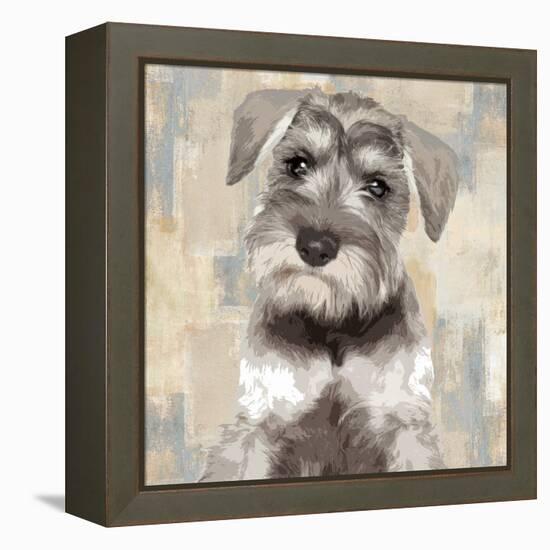 Miniature Schnauser-Keri Rodgers-Framed Stretched Canvas