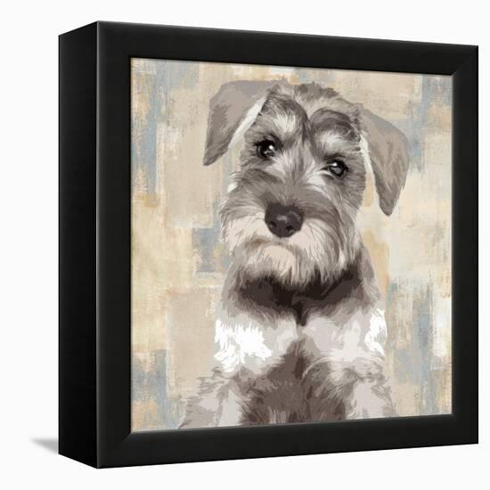 Miniature Schnauser-Keri Rodgers-Framed Stretched Canvas