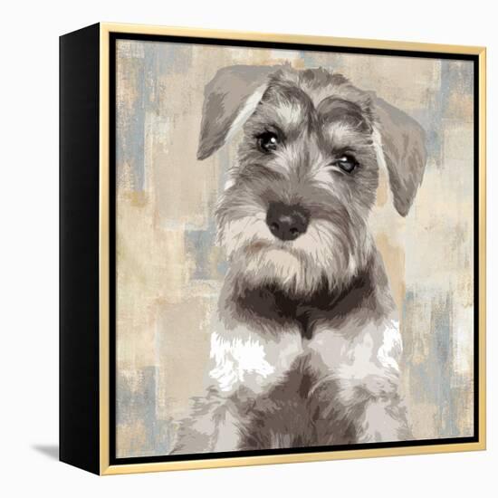 Miniature Schnauser-Keri Rodgers-Framed Stretched Canvas