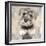 Miniature Schnauser-Keri Rodgers-Framed Art Print