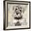 Miniature Schnauser-Keri Rodgers-Framed Art Print