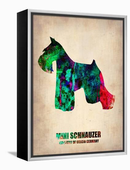 Miniature Schnauzer Poster-NaxArt-Framed Stretched Canvas