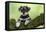 Miniature Schnauzer Puppy (6 Weeks Old) on a Mossy Log-null-Framed Premier Image Canvas