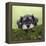 Miniature Schnauzer Puppy (6 Weeks Old) on a Mossy Log-null-Framed Premier Image Canvas