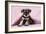 Miniature Schnauzer Puppy (6 Weeks Old)-null-Framed Photographic Print