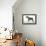 Miniature Schnauzer-null-Framed Premier Image Canvas displayed on a wall