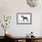 Miniature Schnauzer-null-Framed Photographic Print displayed on a wall