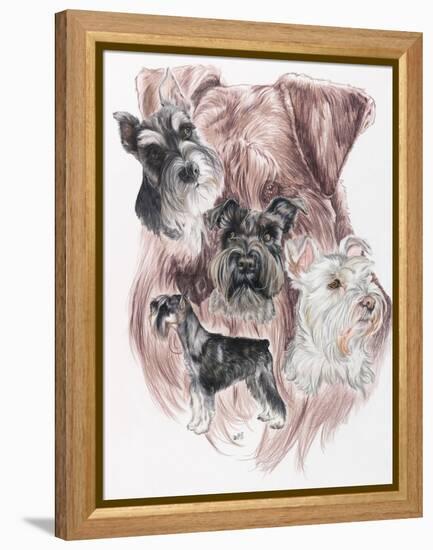 Miniature Schnauzer-Barbara Keith-Framed Premier Image Canvas