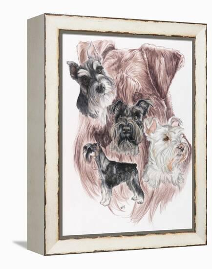 Miniature Schnauzer-Barbara Keith-Framed Premier Image Canvas