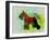 Miniature Schnauzer-NaxArt-Framed Art Print