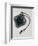 Miniature Spy Camera-Tek Image-Framed Premium Photographic Print
