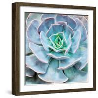 Miniature Succulent Plants-kenny001-Framed Photographic Print