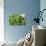 Miniature Succulent Plants-kenny001-Photographic Print displayed on a wall