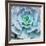 Miniature Succulent Plants-kenny001-Framed Giclee Print