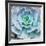 Miniature Succulent Plants-kenny001-Framed Giclee Print