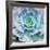 Miniature Succulent Plants-kenny001-Framed Giclee Print