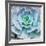 Miniature Succulent Plants-kenny001-Framed Giclee Print