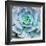 Miniature Succulent Plants-kenny001-Framed Giclee Print