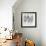 Minimalism VI-Elena Ray-Framed Art Print displayed on a wall