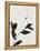 Minimalist Black Flower I-Eline Isaksen-Framed Stretched Canvas