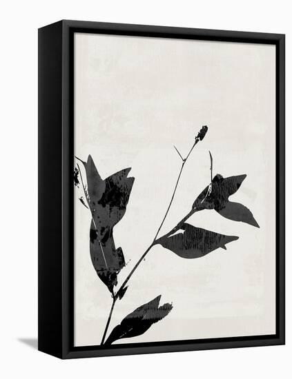 Minimalist Black Flower I-Eline Isaksen-Framed Stretched Canvas