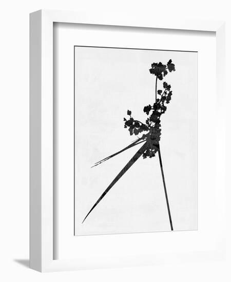 Minimalist Black Wild Flower III-Eline Isaksen-Framed Premium Giclee Print