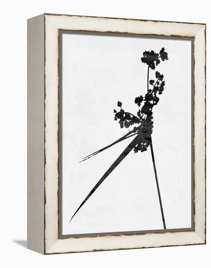 Minimalist Black Wild Flower III-Eline Isaksen-Framed Stretched Canvas