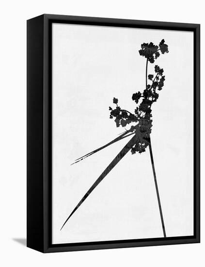 Minimalist Black Wild Flower III-Eline Isaksen-Framed Stretched Canvas