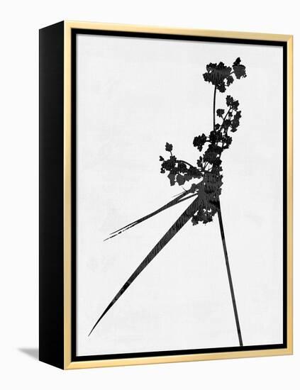 Minimalist Black Wild Flower III-Eline Isaksen-Framed Stretched Canvas